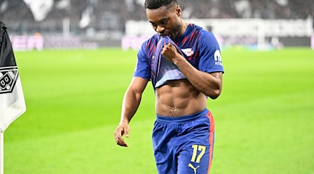 Baku wird den Sachsen fehlen. (Archivbild) / Foto: Ulrich Hufnagel/dpa