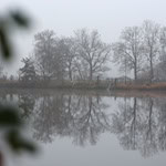 In den Morgenstunden dominiert laut DWD Sachsen, Sachsen-Anhalt und Thüringen noch dichter Nebel. (Symbolbild) / Foto: Matthias Bein/dpa