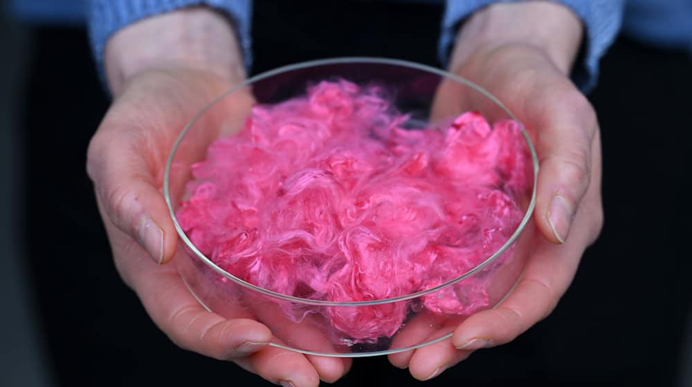 Gefärbte Lyohemp-Fasern werden präsentiert während der Einweihung des «Demonstration and Innovation Center for Textile Circular Economy» (DICE), einem Thüringer Innovationszentrum mit Schwerpunkt textile Kreislaufwirtschaft.  / Foto: Martin Schutt/dpa