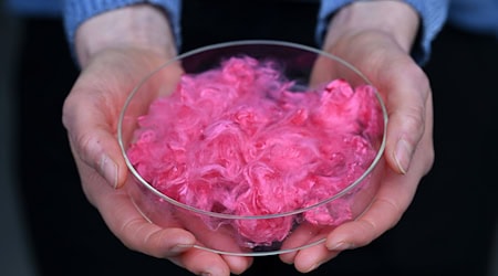 Gefärbte Lyohemp-Fasern werden präsentiert während der Einweihung des «Demonstration and Innovation Center for Textile Circular Economy» (DICE), einem Thüringer Innovationszentrum mit Schwerpunkt textile Kreislaufwirtschaft.  / Foto: Martin Schutt/dpa