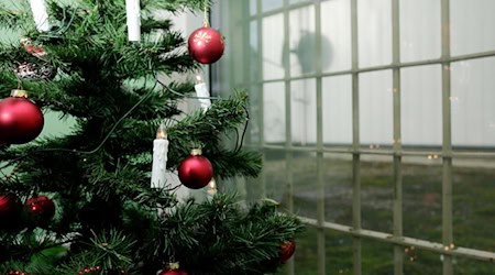 Mit dem weihnachtlichen Gnadenerlass in Thüringen wurden in diesem Jahr in fünf Fällen insgesamt 120 Hafttage eingespart. (Archivbild) / Foto: Sebastian Willnow/dpa