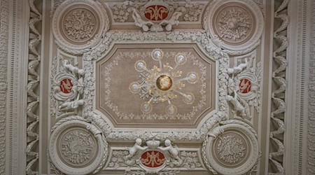 Blick auf die Stuckdecke im Gemach der Herzogin Maria Amalia im Schloss Moritzburg. / Foto: Heiko Rebsch/dpa