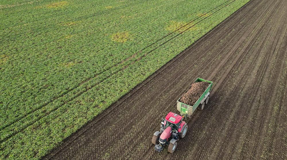 Beim Bürokratieabbau für Landwirte führt der Weg laut Agrarstaatssekretär Malsch vor allem über Berlin und Brüssel. (Archivbild) / Foto: Jan Woitas/dpa