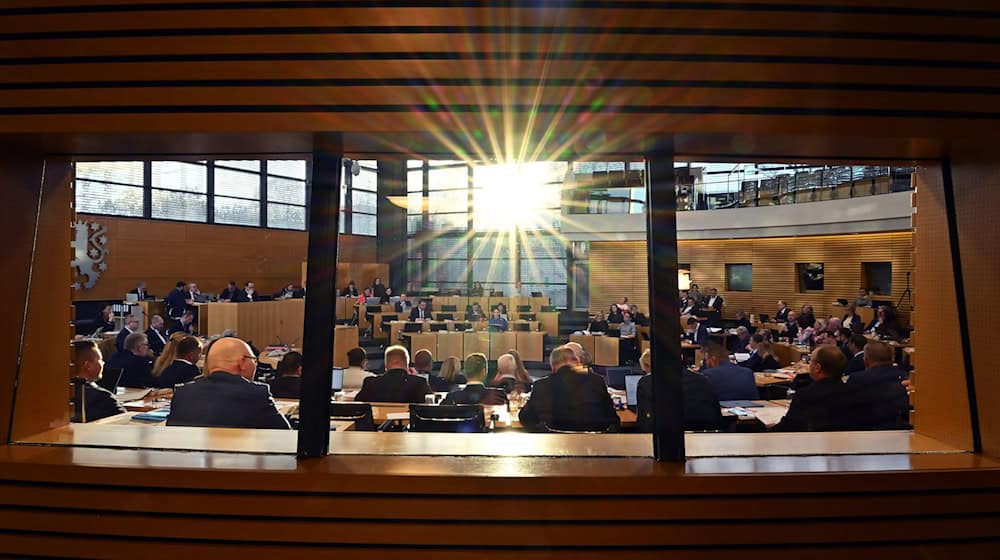 Regierungskoalition stimmte nicht einheitlich gegen AfD-Antrag. (Symbolbild) / Foto: Martin Schutt/dpa