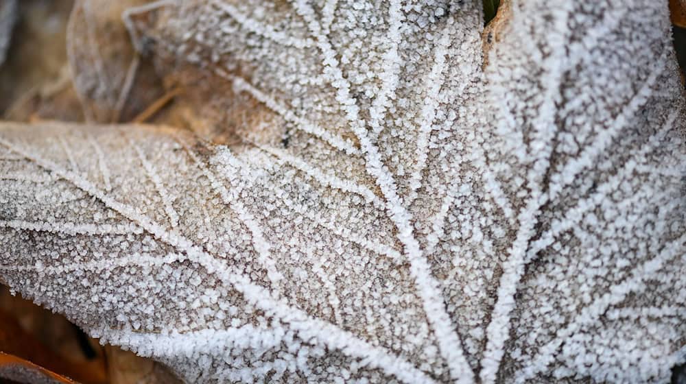 Trotz Schneefall bleibt der Winter in Mitteldeutschland bislang zu trocken. (Symbolbild) / Foto: Hendrik Schmidt/dpa