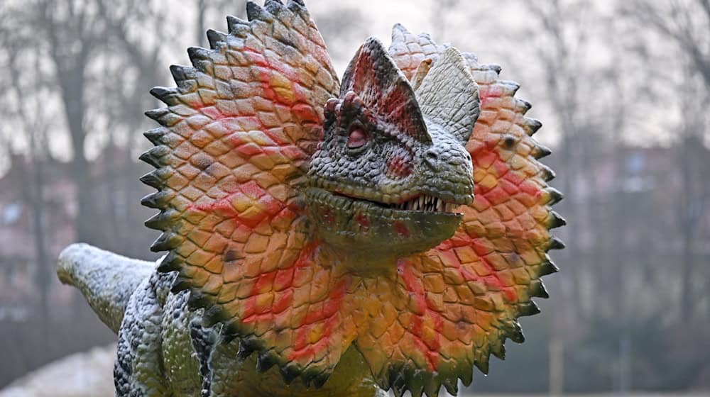 Die Ausstellung eröffnet mit einer Woche Verspätung. (Archivbild) / Foto: Martin Schutt/dpa