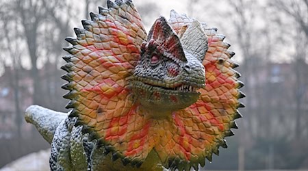 Die Ausstellung eröffnet mit einer Woche Verspätung. (Archivbild) / Foto: Martin Schutt/dpa