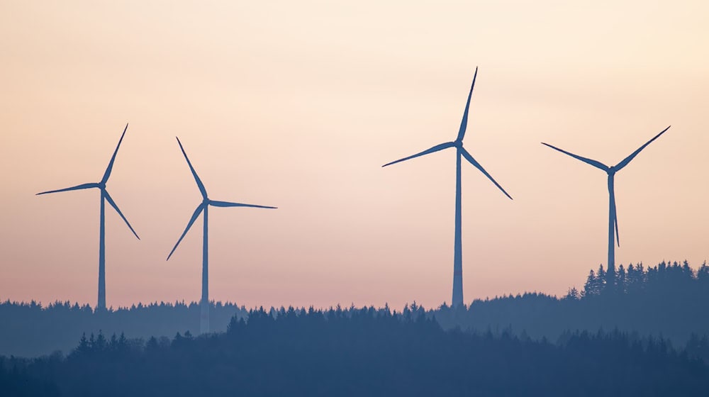 Windräder bringen Geld in kommunale Kassen (Illustration)  / Foto: Uwe Anspach/dpa