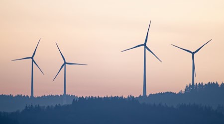Windräder bringen Geld in kommunale Kassen (Illustration)  / Foto: Uwe Anspach/dpa