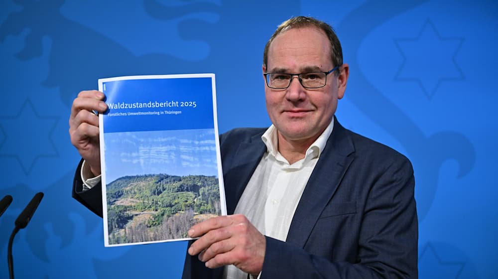 Laut Waldzustandsbericht sind mehr Waldflächen im Freistaat gesund.  / Foto: Martin Schutt/dpa