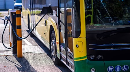 Weitere Elektrobusse für Thüringen (Illustration).  / Foto: Jens Büttner/dpa