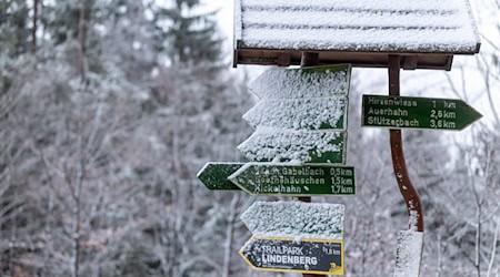 Der Neuschnee lässt auf verbesserte Wintersportmöglichkeiten im Thüringer Wald hoffen. (Archivbild) / Foto: Michael Reichel/dpa