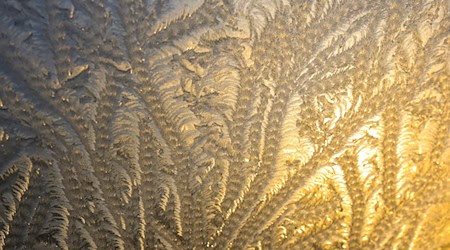 Strenger Frost wird zum Ende der Woche in Sachsen, Sachsen-Anhalt und Thüringen erwartet. (Symbolbild) / Foto: Jan Woitas/dpa