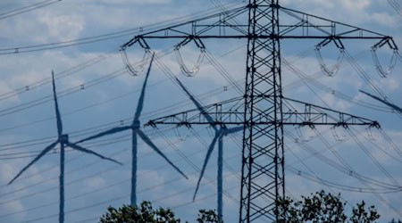 Wie gefährdet ist Thüringen Stromnetz (Illustration)  / Foto: Jens Büttner/dpa