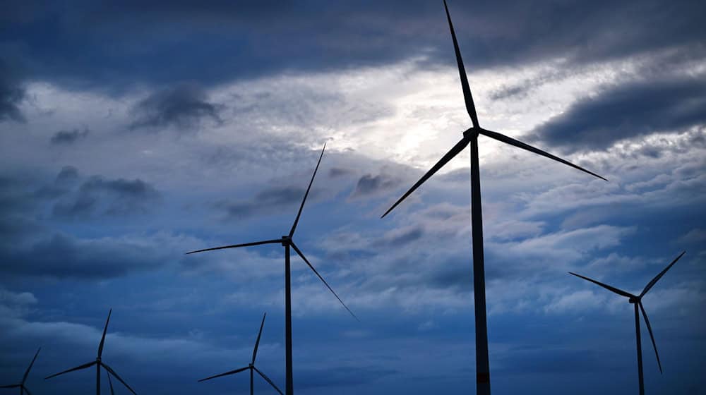 Unter den Flächenländern rangiert Thüringen gemeinsam mit Sachsen auf dem vorletzten Platz. (Symbolbild) / Foto: Martin Schutt/dpa