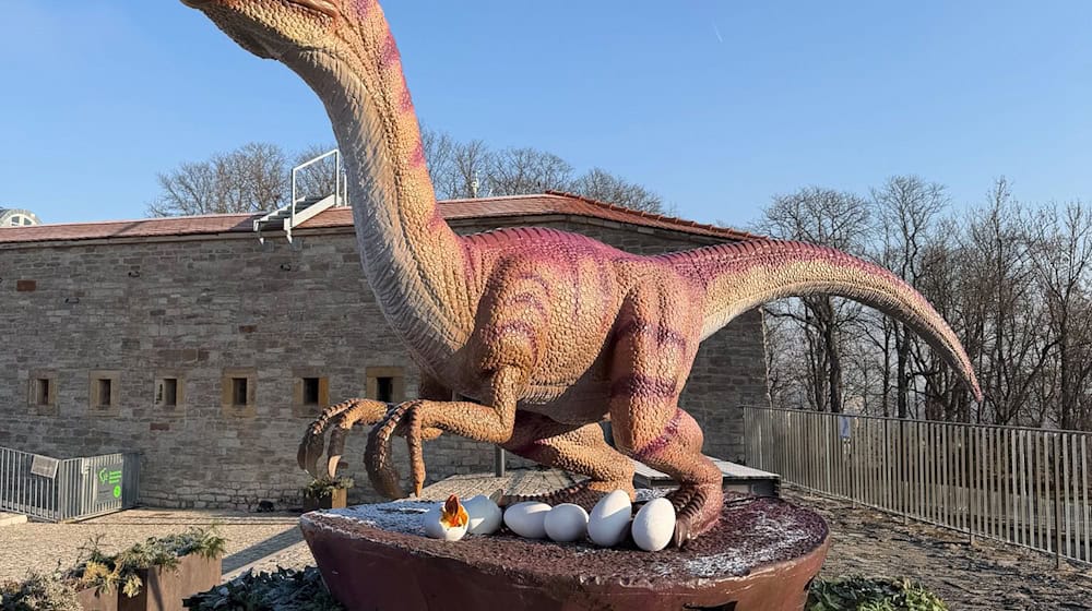 Die Modelle der Urzeitechsen legten auf ihrer Reise von China nach Erfurt rund 20.000 Kilometer auf dem Meer zurück. / Foto: -/SWE/egapark/dpa