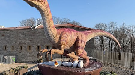 Die Modelle der Urzeitechsen legten auf ihrer Reise von China nach Erfurt rund 20.000 Kilometer auf dem Meer zurück. / Foto: -/SWE/egapark/dpa