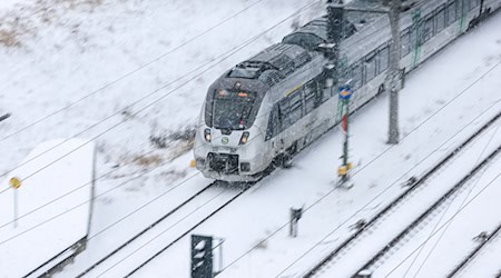 Sturmtief «Elli» sorgt für Beeinträchtigungen im Bahnverkehr. / Foto: Jan Woitas/dpa