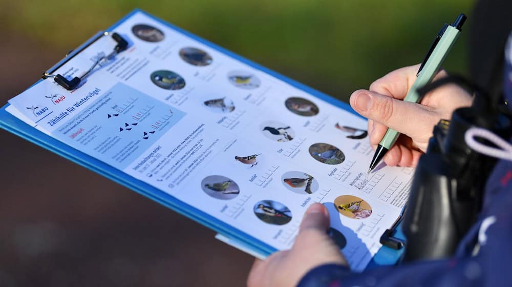 Am kommenden Wochenende können im eigenen Garten wieder Vögel gezählt werden. (Archivbild) / Foto: Martin Schutt/dpa-Zentralbild/dpa