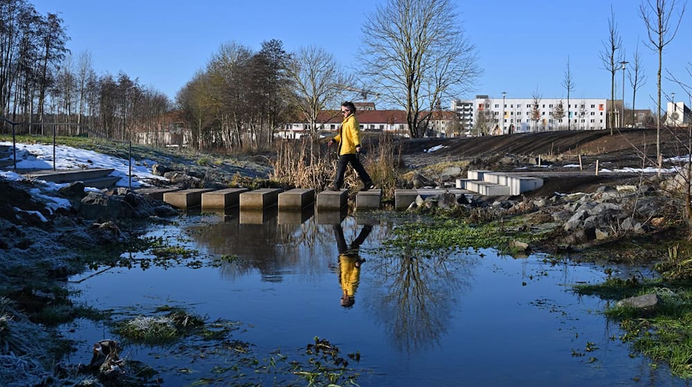 Für die Landesgartenschau wurde etwa bereits ein Abschnitt des Bachs Ohne renaturiert. / Foto: Martin Schutt/dpa
