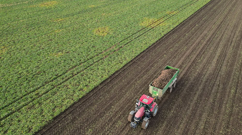 Steigende Bodenpreise und Anteilskäufe durch Investoren sorgen für eine Debatte um Regeln und Bodenpolitik. (Archivbild) / Foto: Jan Woitas/dpa