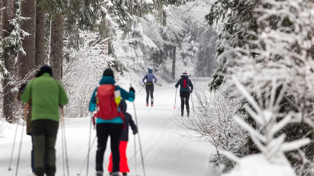 Vergangenes Wochenende lockte der Winter etliche Menschen in den Thüringer Wald. (Archivbild) / Foto: Michael Reichel/dpa