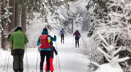 Vergangenes Wochenende lockte der Winter etliche Menschen in den Thüringer Wald. (Archivbild) / Foto: Michael Reichel/dpa