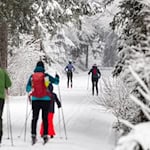 Vergangenes Wochenende lockte der Winter etliche Menschen in den Thüringer Wald. (Archivbild) / Foto: Michael Reichel/dpa