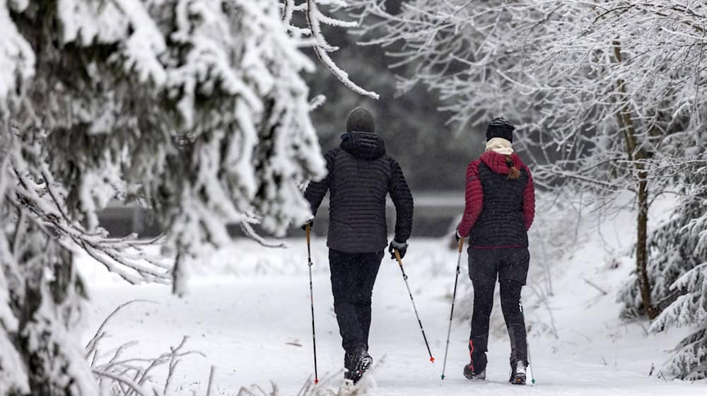 Mehr als 460 Kilometer Loipen locken die Menschen zum Ende der Ferien in die Wintersportgebiete. (Symbolbild) / Foto: Michael Reichel/dpa