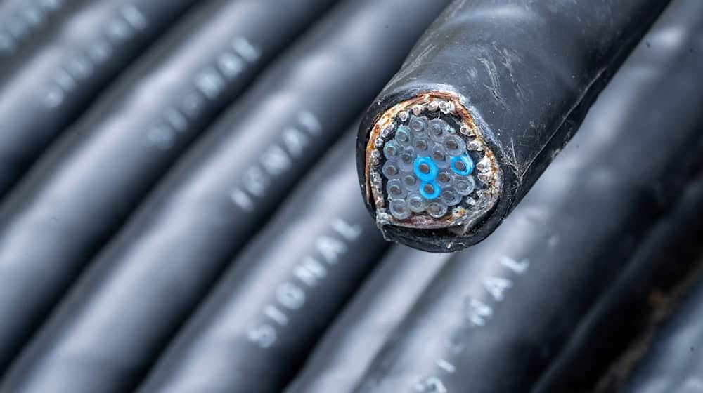 Höchstwahrscheinlich wegen Kabelschäden an einem Bahnübergang kommt es auf der Bahnstrecke zwischen Erfurt und Sangerhausen zu Beeinträchtigungen. (Symbolbild)  / Foto: Stefan Puchner/dpa