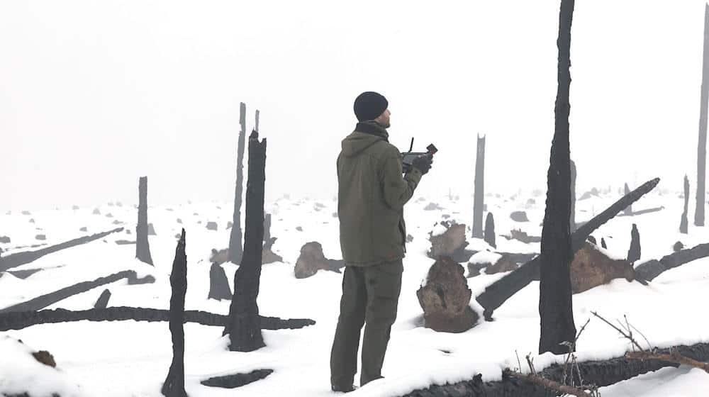 Verkohlte Baumreste künden noch vom großen Waldbrand auf der Saalfelder Höhe, auf der eine Drohne Baumsaat zur Wiederaufforstung aufbringt. / Foto: Bodo Schackow/dpa