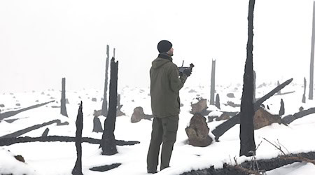 Verkohlte Baumreste künden noch vom großen Waldbrand auf der Saalfelder Höhe, auf der eine Drohne Baumsaat zur Wiederaufforstung aufbringt. / Foto: Bodo Schackow/dpa