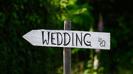 Die meisten Hochzeiten an einem Valentinstag wurden 2014 gezählt. (Symbolbild) / Foto: Robert Michael/dpa