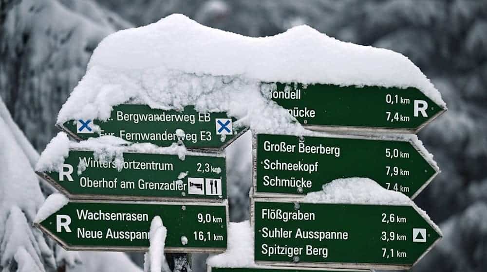 Die Polizei sucht stundenlang. (Archivbild) / Foto: Martin Schutt/dpa