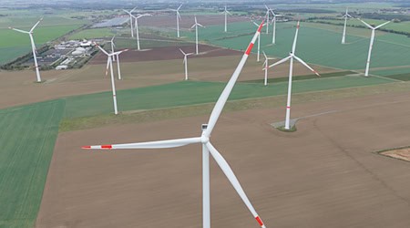 Die Freien Wähler in Ostdeutschland verlangen eine Vetorecht beim Ausbau der Windkraft (ArchivbildI). / Foto: Sebastian Kahnert/dpa