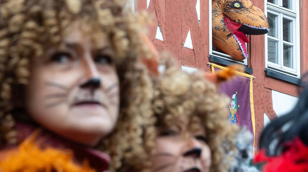 Der Faschingsumzug zieht am Samstag durch Wasungen in Südthüringen. (Archivbild)  / Foto: Michael Reichel/dpa
