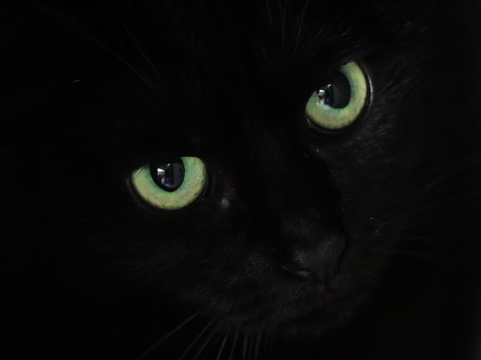 Bei einem umfangreichen Einsatz sind im Landkreis Hildburghausen in Thüringen durch Zufall Munition und Waffenteile sowie verschiedene Chemikalien entdeckt worden. (Symbolbild) / Foto: Soeren Stache/dpa