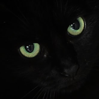 Bei einem umfangreichen Einsatz sind im Landkreis Hildburghausen in Thüringen durch Zufall Munition und Waffenteile sowie verschiedene Chemikalien entdeckt worden. (Symbolbild) / Foto: Soeren Stache/dpa