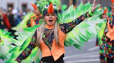 Der Faschingsumzug zieht am Samstag durch Wasungen in Südthüringen (Archivbild)  / Foto: Michael Reichel/dpa