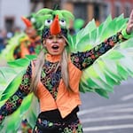 Der Faschingsumzug zieht am Samstag durch Wasungen in Südthüringen (Archivbild)  / Foto: Michael Reichel/dpa