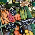 Thüringen ist aus Sicht von Landwirtschaftsministerin Colette Boos-John (CDU) inzwischen ein «Bio-Wachstumsland». (Symbolbild) / Foto: Bernd Settnik/dpa-Zentralbild/dpa