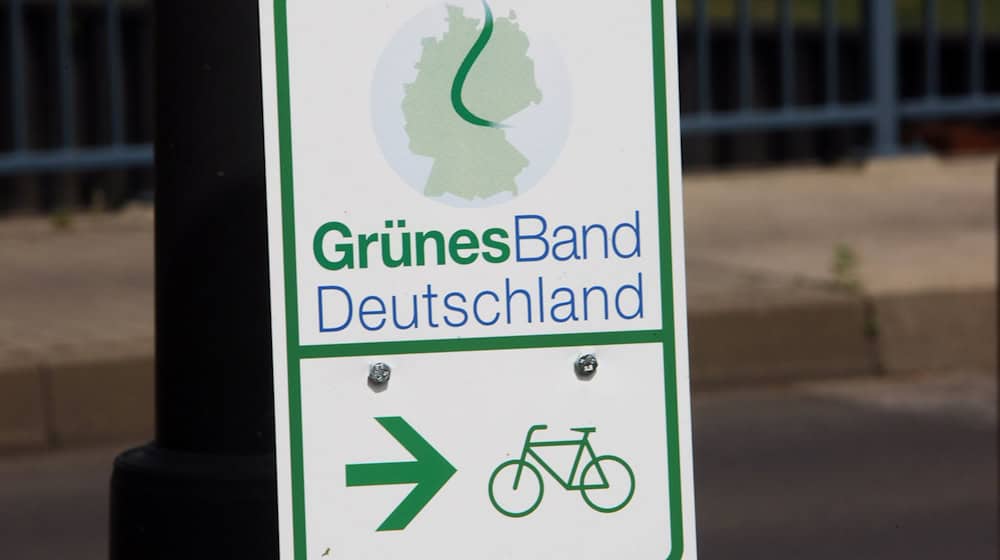 Das «Grüne Band» wurde 2023 als Naturmonument ausgewiesen. (Archivbild)  / Foto: Jens Büttner/dpa