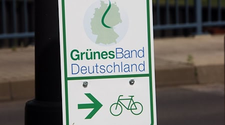Das «Grüne Band» wurde 2023 als Naturmonument ausgewiesen. (Archivbild)  / Foto: Jens Büttner/dpa