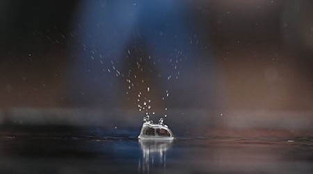 Das Thüringer Umweltministerium unterstützt kleine und mittlere Unternehmen mit Fördergeldern beim Aufbau von Regen- und Brauchwasseraufbereitungs- sowie Nutzungssystemen. (Symbolbild) / Foto: Arne Dedert/dpa