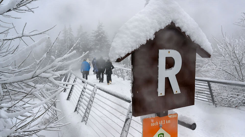 Der Rennsteig-Skiwanderweg gilt mit 142 Kilometer Länge als längster durchgängig beschilderter Fernskiwanderweg in Mitteleuropa. (Archivfoto) / Foto: Hendrik Schmidt/dpa