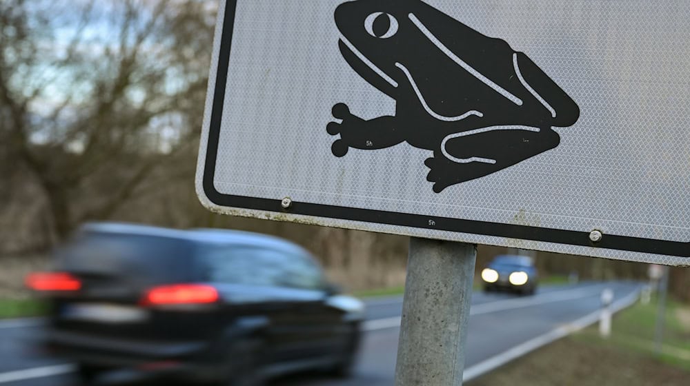 Achtung Amphibien! Bald gehen die kleinen Wesen wieder auf Wanderschaft. (Symbolbild) / Foto: Patrick Pleul/dpa