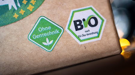 Das Marktpotenzial von Bio-Lebensmitteln in Thüringen wird analysiert. (Symbolbild) / Foto: Sina Schuldt/dpa