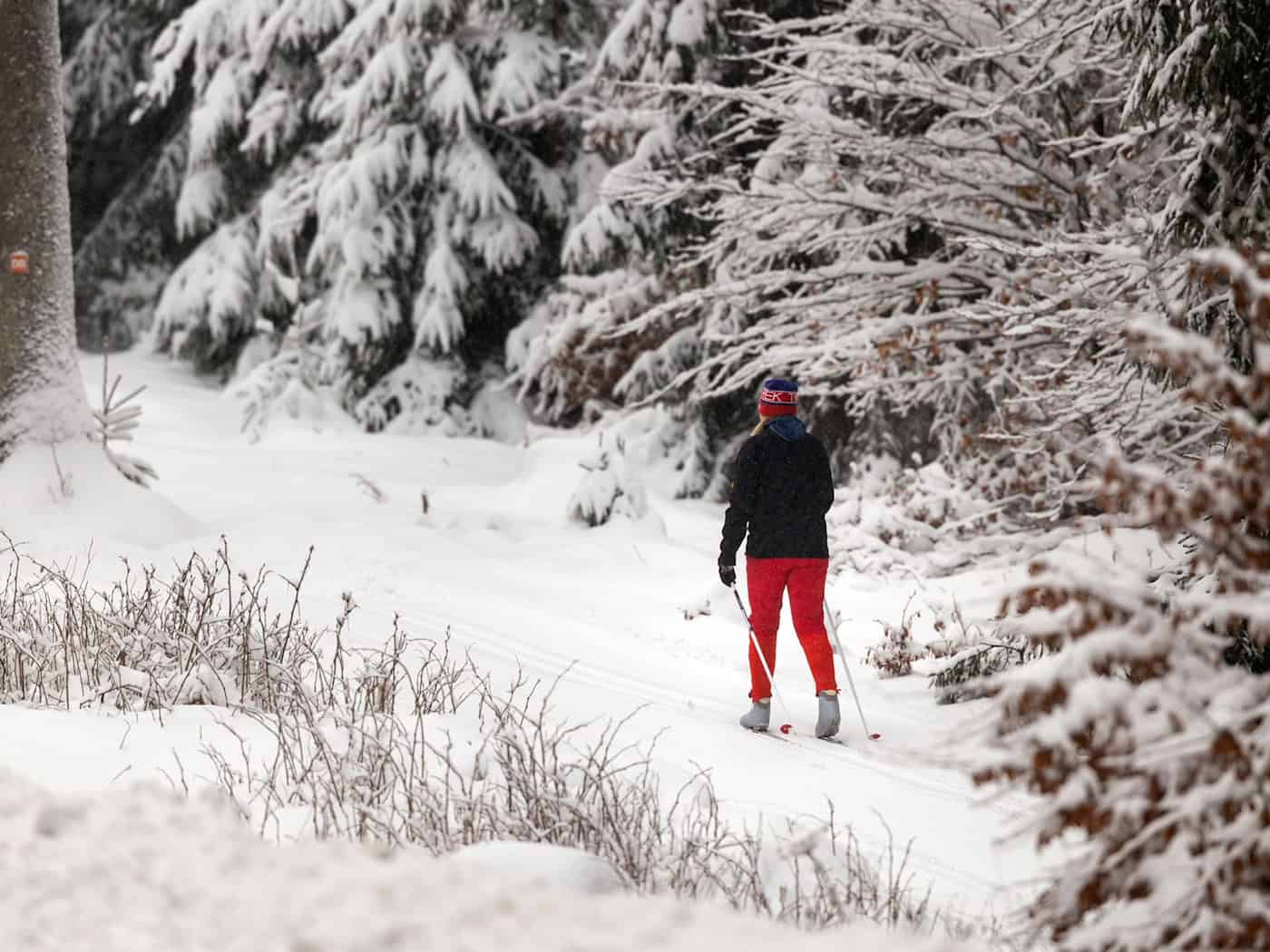 In der ersten Januarphase und dann später wieder im Februar herrschten gute Wintersportbedingungen im Thüringer Wald. (Archivbild) / Foto: Michael Reichel/dpa