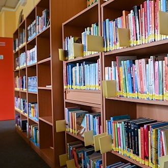 Thüringen ehrt die engagierteste Schulbibliothek. (Archivbild) / Foto: Jens Kalaene/dpa