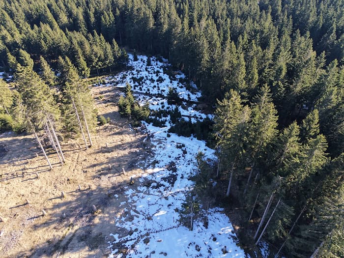 Thüringer Wald: Großprojekt renaturiert Moore, Bäche und Bergwiesen